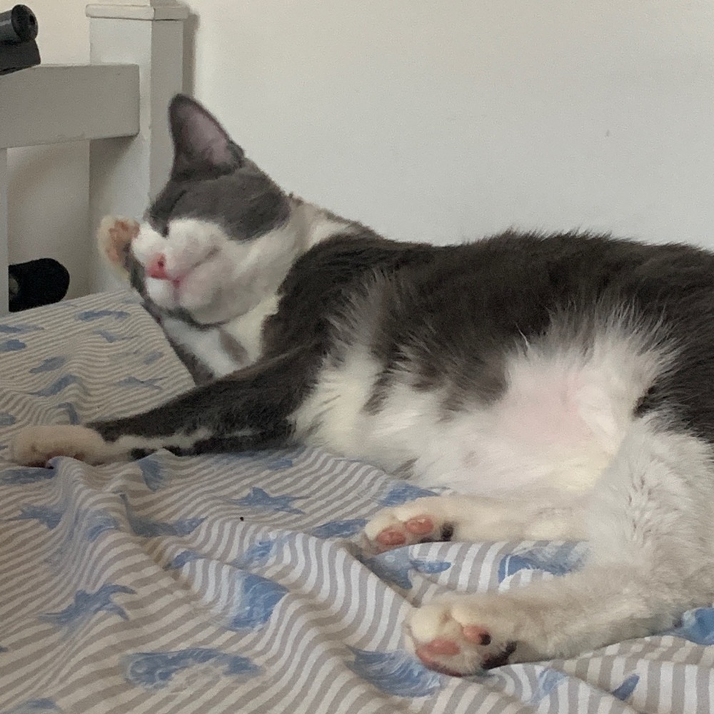 Meet your Posher, Matthew